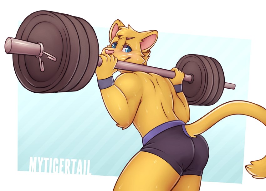 5_fingers anthro blue_eyes butt clothed clothing exercise fingers fur fur_tuft head_tuft male orange_body orange_fur pink_nose solo tail topless topless_anthro topless_male tuft underwear underwear_only weightlifting whiskers workout mytigertail takathekitty domestic_cat felid feline felis mammal