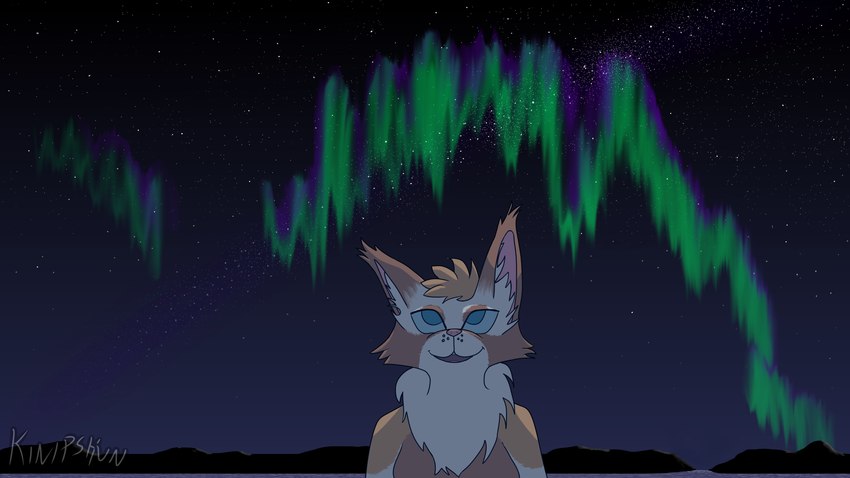 anthro aurora_(phenomenon) blue_eyes blue_sclera cheek_tuft detailed_background ear_tuft facial_tuft female hair inner_ear_fluff looking_up neck_tuft night outside sky smile solo star starry_sky tuft kinipshun felid feline mammal 16:9 4k absurd_res hi_res widescreen