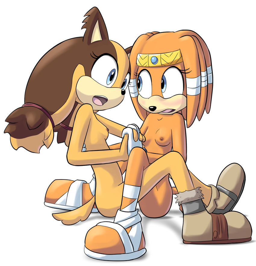 sticks the jungle badger and tikal the echidna (sonic the hedgehog (series) and etc) created by goshaag