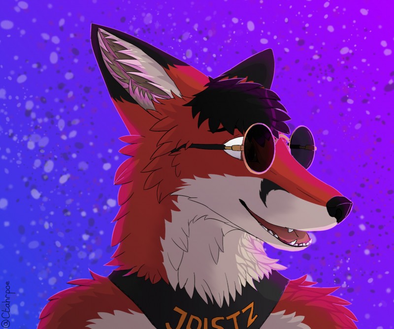 anthro black_body black_fur eyewear fur glasses male open_mouth red_body red_fur solo sunglasses tan_body tan_fur tongue ctahrpoe jota_random canid canine fox mammal 2018 bust_portrait digital_media_(artwork) hi_res portrait