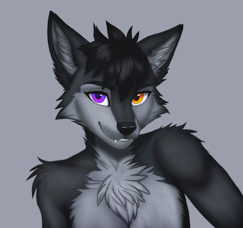 anthro black_hair chest_tuft femboy fur grey_background grey_body grey_fur hair heterochromia looking_at_viewer male orange_eyes purple_eyes simple_background smile solo tuft wolfrayay canid canine mammal digital_drawing_(artwork) digital_media_(artwork) half-length_portrait hi_res portrait shaded