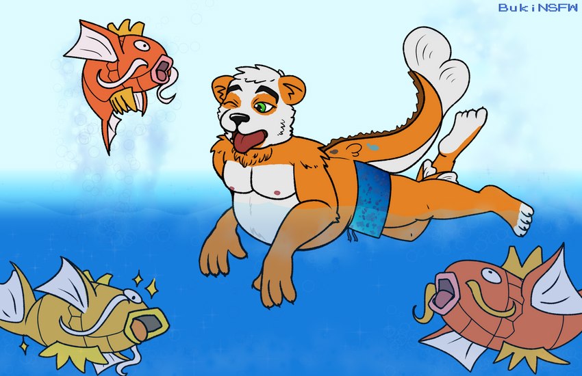 female male sea splash swimming underwater water bukinsfw nintendo pokemon amur_carp bear carp cyprinid cypriniform fish generation_1_pokemon giant_panda hybrid koi magikarp mammal marine monster pokemon_(species) typical_carp absurd_res hi_res