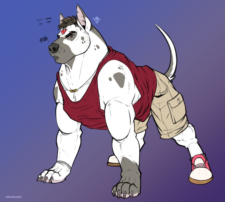 ball basketball_(ball) clothed clothing feral jock male mongrel_dog solo narram tanner_(narram) canid canine canis canis_species(narram) domestic_dog mammal absurd_res hi_res