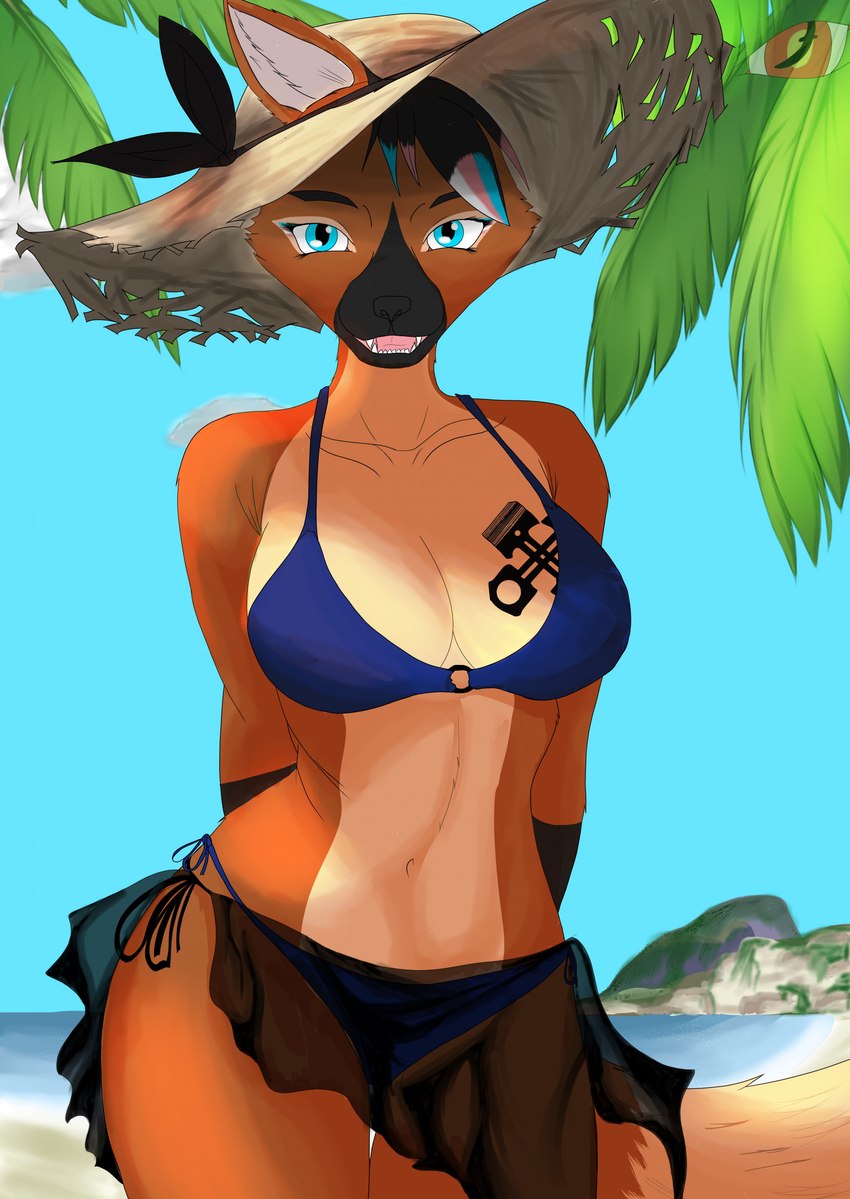 anthro beach bikini blue_eyes clothing female hat headgear headwear highlights_(coloring) lgbt_pride o-ring o-ring_bikini o-ring_bikini_top o-ring_swimwear palm_tree plant pride_colors sand sea seaside side-tie_bikini side-tie_clothing side-tie_swimwear smile solo straw_hat string_bikini swimwear torgue transgender_pride_colors tree two-piece_swimsuit water blackreaper_bk201 canid canine canis mammal wolf 2023 digital_media_(artwork) hi_res