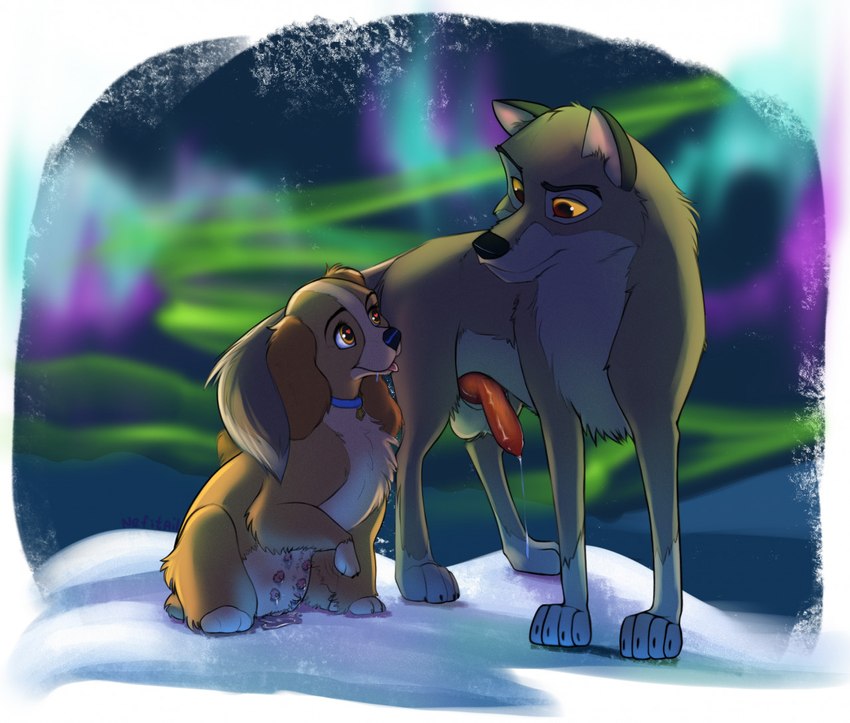 balto and lady (lady and the tramp and etc) created by nefitail