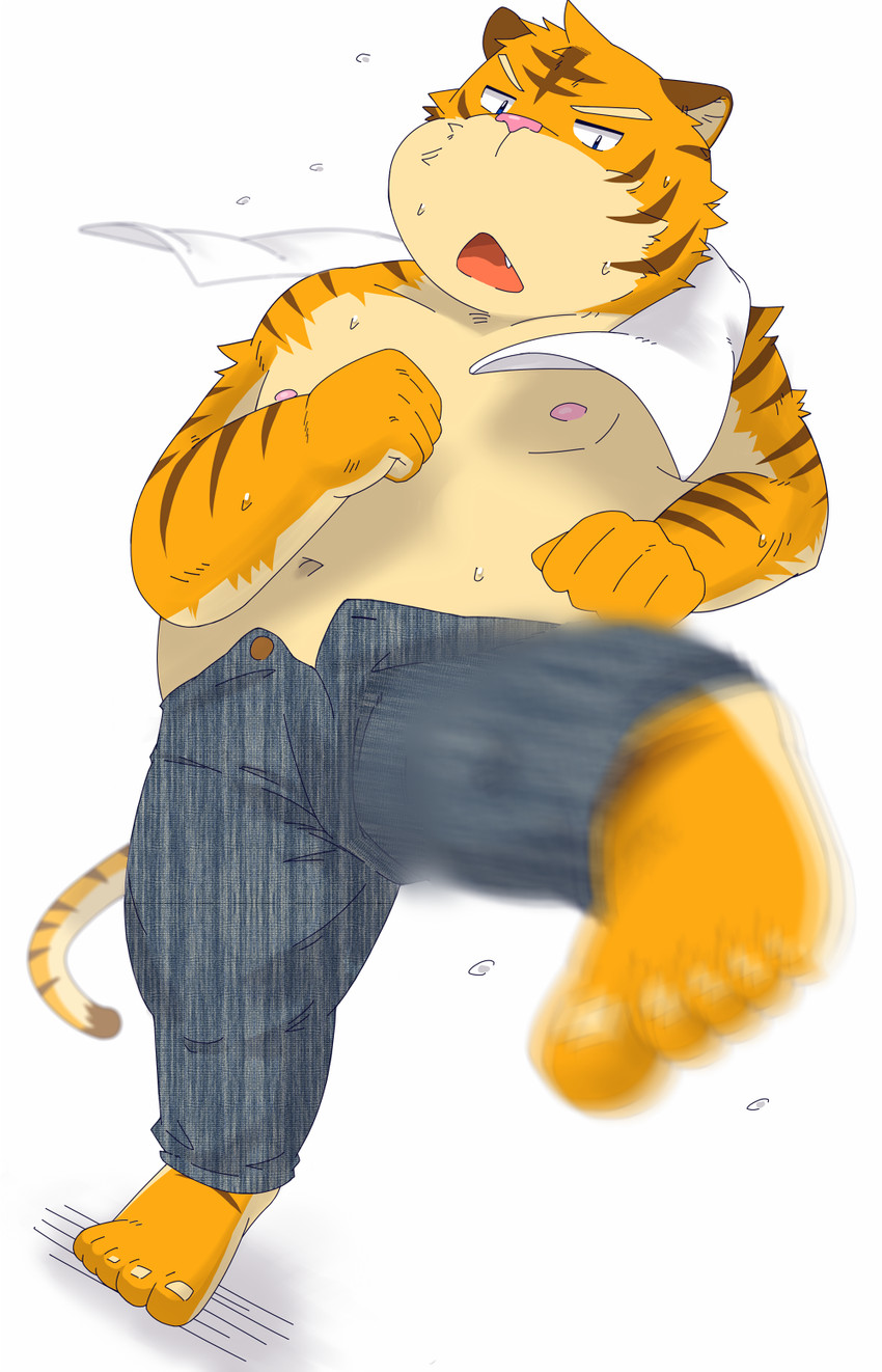 anthro belly bottomwear clothing kemono male moobs nipples overweight overweight_anthro overweight_male pants simple_background solo towel white_background diru11 felid mammal pantherine tiger 2013 hi_res