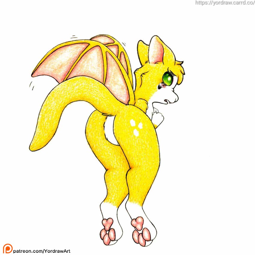 anthro butt feet female foot_fetish fur patreon_username pawpads paws raised_tail shy solo tail text tongue wings yordraw dust:_an_elysian_tail fidget_(elysian_tail) bat mammal nimbat 1:1 hi_res url