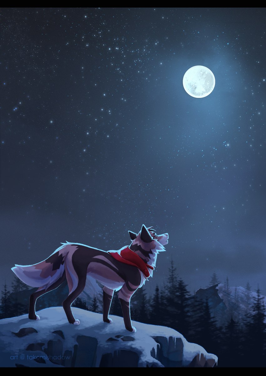 evergreen_tree female feral forest full_moon moon mountain night pine_tree plant snow solo star tree takomishadow misha_(takomishadow) canid canine canis coyote mammal illustration absurd_res digital_media_(artwork) hi_res letterbox