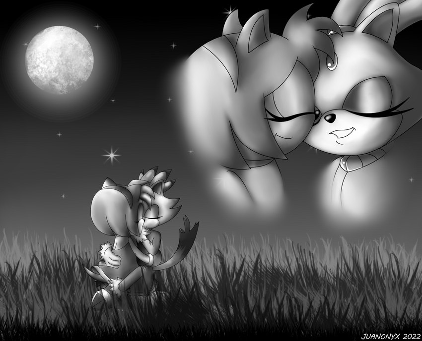 anthro duo female female/female grass happy holidays light love moon moonlight night plant romantic star yumi_darkwatch juanonyx sega sonic_the_hedgehog_(series) valentine's_day amy_rose blaze_the_cat tale eulipotyphlan hedgehog mammal joy_(disambiguation) absurd_res hi_res monochrome