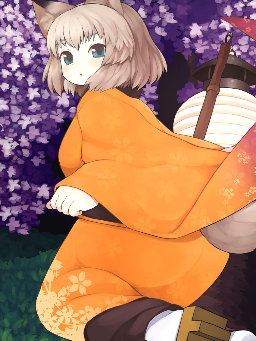 5_fingers asian_clothing big_butt butt cherry_blossom cherry_tree clothed clothing detailed_background dipstick_ears ear_markings east_asian_clothing female fingers flower footwear fruit_tree fully_clothed geta grey_eyes grey_hair hair inner_ear_fluff japanese_clothing kimono lamp lantern legwear light_body light_skin looking_at_viewer looking_back multicolored_ears nature orange_clothing outside paper_lantern pattern_clothing plant prunus_(flower) rear_view socks solo tree tuft akitaka animal_humanoid canid canid_humanoid canine canine_humanoid fox_humanoid humanoid mammal mammal_humanoid 3:4 hi_res