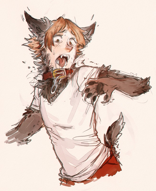 blush clothed clothing collar hair human_to_anthro male open_mouth orange_hair paws sharp_teeth shirt simple_background solo species_transformation teeth topwear transformation gemskull atlus megami_tensei megami_tensei_persona persona_(series) persona_4 sega yosuke_hanamura animal_humanoid canid canine canis domestic_dog humanoid mammal