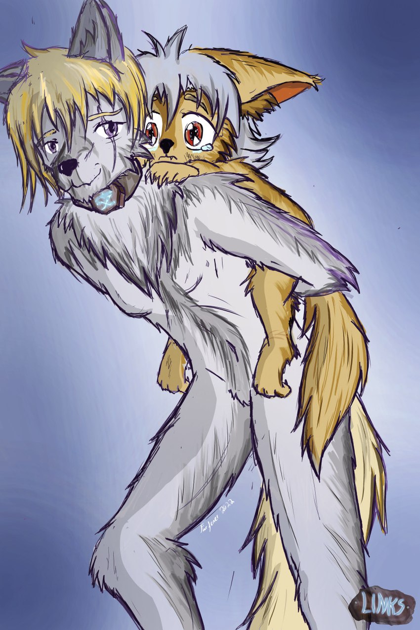 anthro bonding carrying_another collar female fur hair happy piggyback predators relaxing rune runes slave farfener links azee_(links) chara_(links) shiyan_(links) avian bird canid canine canis coyote galliform mammal phasianid wolf 2022 colored hi_res textless sibling_(lore) sister_(lore) sisters_(lore)