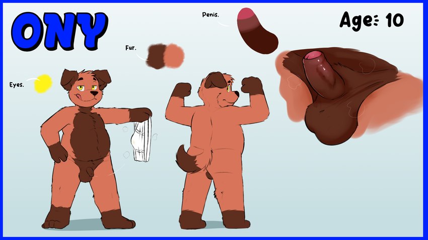 anthro balls belly blue_border border genitals humanoid_genitalia humanoid_penis male musk musk_clouds musky_balls nude penis presenting solo young onykr ony canid canine canis domestic_dog mammal 16:9 hi_res model_sheet widescreen