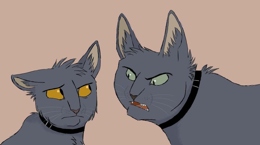 ambiguous_gender angry collar duo eye_contact eyebrows feral frown fur green_eyes grey_body grey_fur inner_ear_fluff looking_at_another open_mouth simple_background teeth tuft whiskers yellow_eyes young young_feral graystripe64 varjak_paw julius_(varjak_paw) varjak_paw_(character) domestic_cat felid feline felis mammal mesopotamian_blue 2010 brother_(lore) brothers_(lore) male_(lore) sibling_(lore)