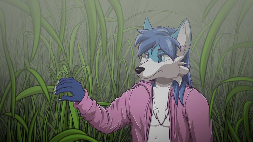 anthro blue_body blue_eyes blue_fur blue_hair clothing fog fur grass hair looking_away male outside plant solo sweater tall_grass topwear white_body white_fur jf-049 john_frostfox canid canine fox mammal 16:9 absurd_res hi_res widescreen