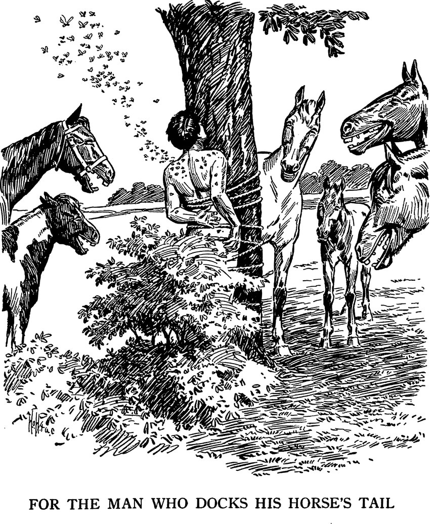 ambiguous_gender convenient_censorship feral group halter laugh male mottled mottled_body nude outside piebald piebald_body plant shrub text tied_to_tree torture tree young young_feral unknown_artist our_dumb_animals public_domain arthropod equid equine horse human insect mammal pony 1915 20th_century absurd_res ancient_art english_text hi_res monochrome