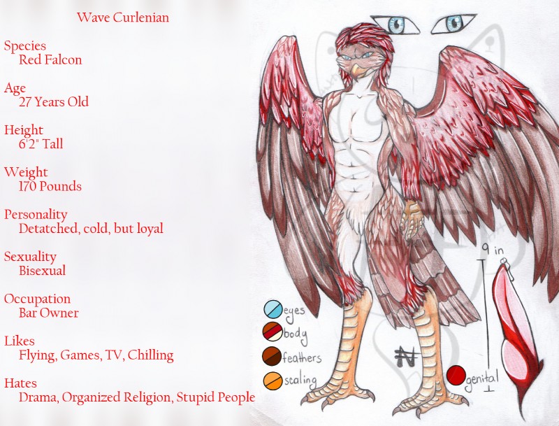 anthro bodily_fluids claws erection feathered_wings feathers genital_fluids genitals looking_at_viewer male penis precum smile smirk solo text wings nekromantiafox javelin_nightpaw sakuri_rainne wave_curlenian avian bird falcon falconid english_text hi_res model_sheet