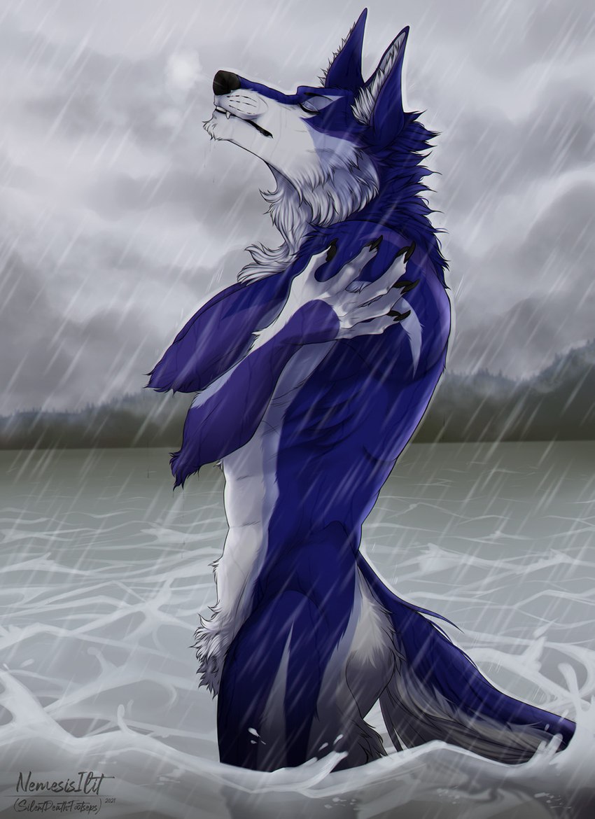 abs anthro blue_body blue_fur cloud cloudy_sky eyes_closed fangs fog fur lean_body looking_up male mountain nude outside partially_submerged peaceful pecs pubes raining relaxing river side_view simple_background sky solo standing standing_in_water storm teeth water wet wet_body wet_fur nemesisilit mythology patrick_(wolfang322) canid canine canis mammal mythological_canine mythological_creature werecanid werecanine werecreature werewolf wolf cloudy_(disambiguation) digital_media_(artwork) hi_res portrait three-quarter_portrait