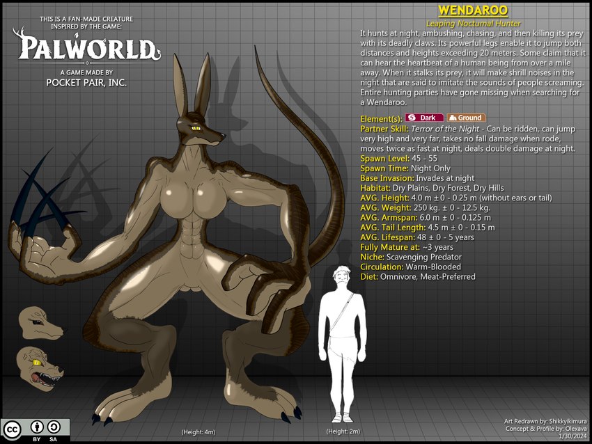 anthro biceps big_hands breasts brown_body claws clothed_human comparing digitigrade duo featureless_breasts featureless_crotch female fur glistening glistening_body glistening_fur height_comparison huge_hands long_arms long_ears long_legs long_tail loredump_in_description male male/female muscular muscular_anthro muscular_arms muscular_female muscular_humanoid muscular_legs muscular_thighs open_species rabbit_ears rat_tail simple_background small_waist tail text textured_background wall_of_text wasp_waist yellow_eyes shikkyikimura american_mythology fakemon indigenous_north_american_mythology mythology north_american_mythology palworld pocketpair fan_character dipodomyine fan_species heteromyid human humanoid kangaroo kangaroo_rat lagomorph leporid macropod mammal marsupial pal_(species) rabbit rodent wendaroo wendigo 4:3 cel_shading dated hi_res model_sheet shaded