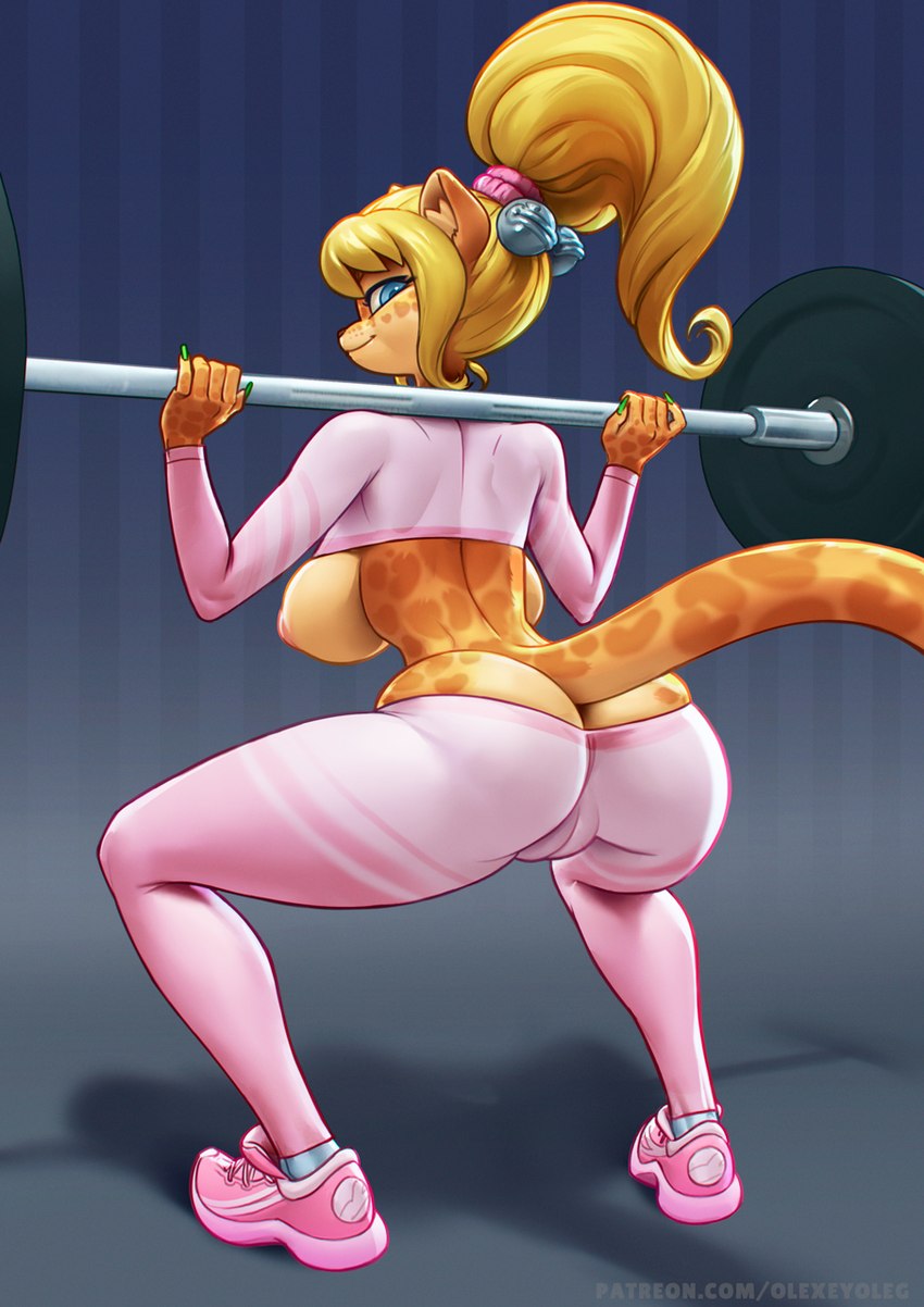 anthro barbell barbell_squats big_breasts big_butt breasts butt camel_toe clothing crouching exercise female leggings legwear small_waist solo squats thick_thighs weightlifting workout olexey_oleg dita_(olexey_oleg) felid jaguar mammal pantherine hi_res