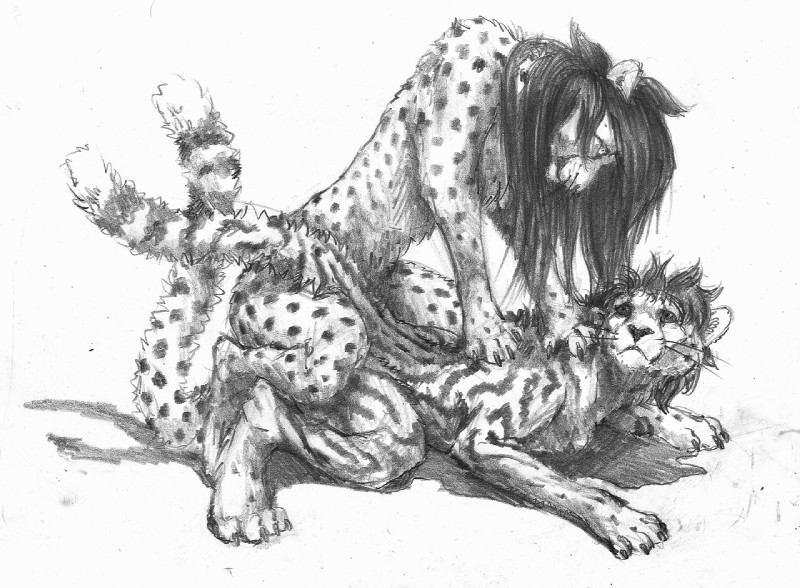 ambiguous_gender ambiguous_penetration anthro anthro_on_feral anthro_penetrating anthro_penetrating_feral bestiality claws duo feral feral_penetrated from_behind_position fur hair inner_ear_fluff long_hair lying markings mounting on_front penetration sex spots spotted_body spotted_fur toe_claws tuft a_inc a_inc_(character) cheetah felid feline mammal graphite_(artwork) monochrome pencil_(artwork) sketch traditional_media_(artwork)