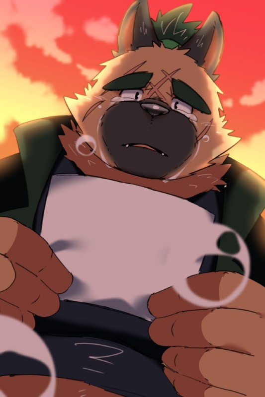 anthro bodily_fluids brown_body brown_fur clothing crying cute_fangs fangs fur humanoid_hands kemono male outside scar shirt slightly_chubby solo tears teeth topwear ptcmtr lifewonders tokyo_afterschool_summoners yasuyori_(tas) canid canine canis domestic_dog mammal 2020 2:3 hi_res