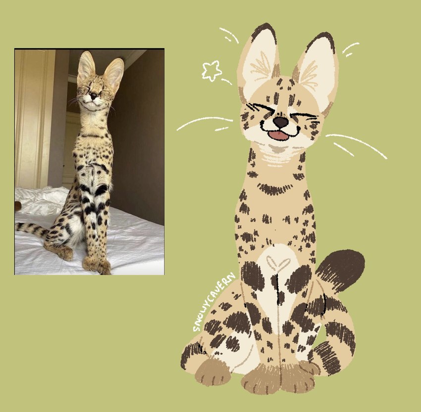 :3 ambiguous_gender big_ears blep brown_body brown_fur brown_spots dipstick_ears dipstick_tail ear_markings emanata feral fur green_background leg_markings markings multicolored_ears quadruped real simple_background sitting smile socks_(marking) solo spots spotted_body spotted_fur star_symbol tail tail_markings tan_body tan_fur tongue tongue_out whiskers white_body white_fur snowycavern felid feline mammal serval 2024 hi_res photography_(artwork) reference_image signature