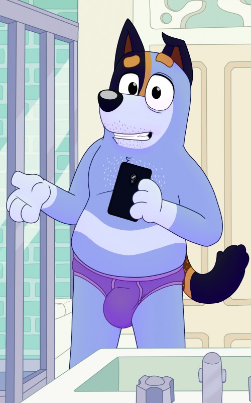 anthro bathroom big_bulge black_body black_fur blue_body blue_fur body_hair briefs briefs_only bulge cellphone clothed clothing door electronics faucet fur inside looking_at_viewer male open_mouth orange_body orange_fur phone purple_briefs purple_clothing purple_underwear selfie sink smile solo stubble teeth_showing topless underwear underwear_only neenya bluey_(series) stripe_heeler australian_cattle_dog canid canine canis cattledog domestic_dog herding_dog mammal pastoral_dog 5:8 absurd_res hi_res