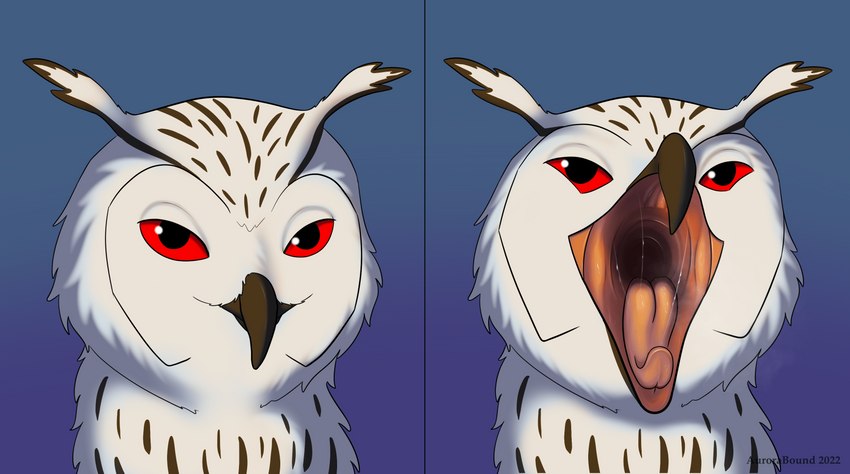 ambiguous_gender anthro beak black_beak bodily_fluids feathers looking_at_viewer mouth_shot open_mouth pink_tongue red_eyes saliva saliva_on_tongue saliva_string solo tongue white_body white_feathers aurorabound thieu_(thieutheowl) avian bird owl absurd_res hi_res sequence