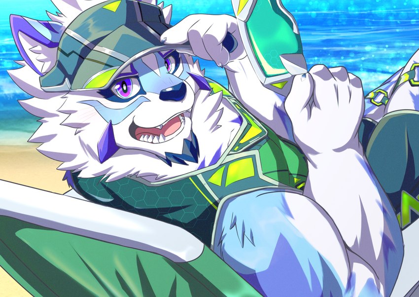 anthro beach beach_chair biceps blue_eyes clothing eyebrows eyewear facial_hair facial_markings fur hat head_markings headgear headwear male markings multicolored_body multicolored_fur muscular muscular_anthro muscular_male sea seaside solo sunglasses thick_eyebrows visor_cap water nazebesu_hobby lifewonders live_a_hero sadayoshi canid canine mammal absurd_res hi_res