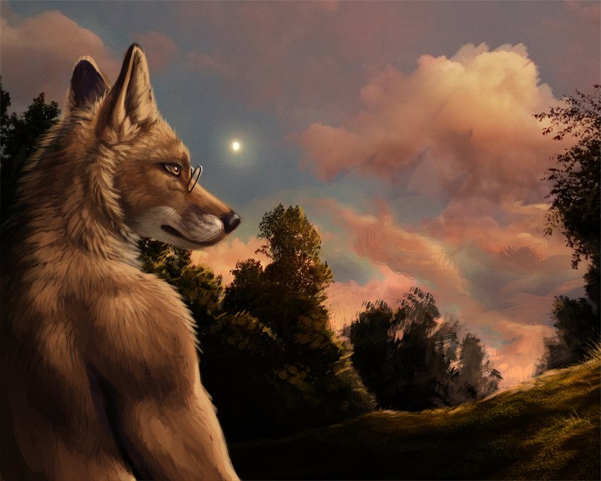 anthro black_ear_tips black_nose cloud dipstick_ears ear_markings eyewear fur glasses male multicolored_ears nature nature_background neck_tuft orange_body orange_eyes orange_fur plant pointy_ears prick_ears sky solo sun three-quarter_view tree tuft wearing_glasses whisker_spots rukis y-foxy canid canine fox mammal 2016 5:4 digital_media_(artwork) half-length_portrait photo_manipulation portrait