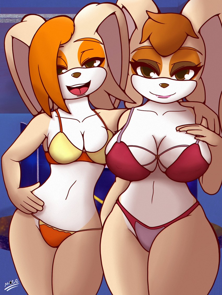 cream the rabbit and vanilla the rabbit (sonic the hedgehog (series) and etc) created by manwiththemole