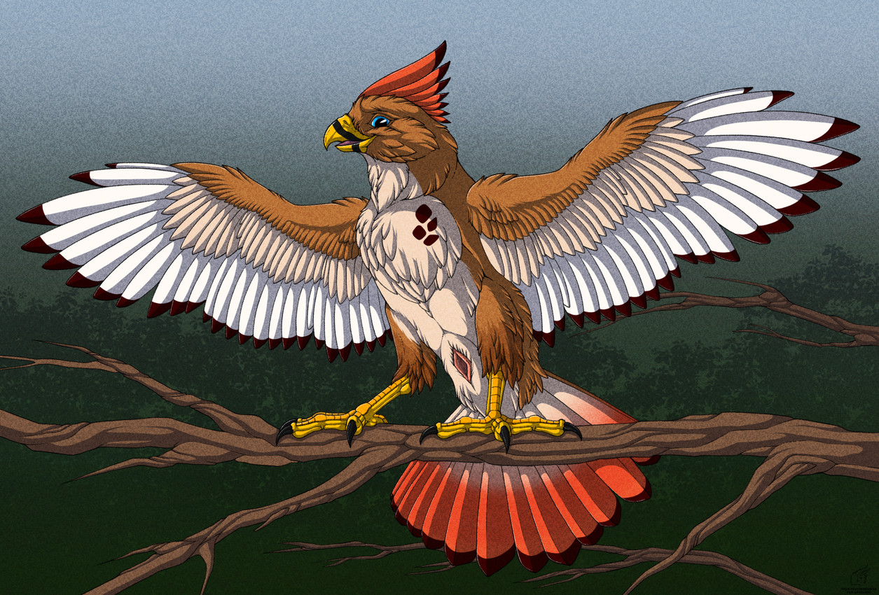 ambiguous_gender animal_genitalia brown_body brown_feathers cloaca feathers feral genitals outside simple_background spread_wings white_body white_feathers wings feathered_diva equinox_(aphelion1) accipitrid accipitriform avian bird buteo chickenhawk red-tailed_hawk 2025 hi_res