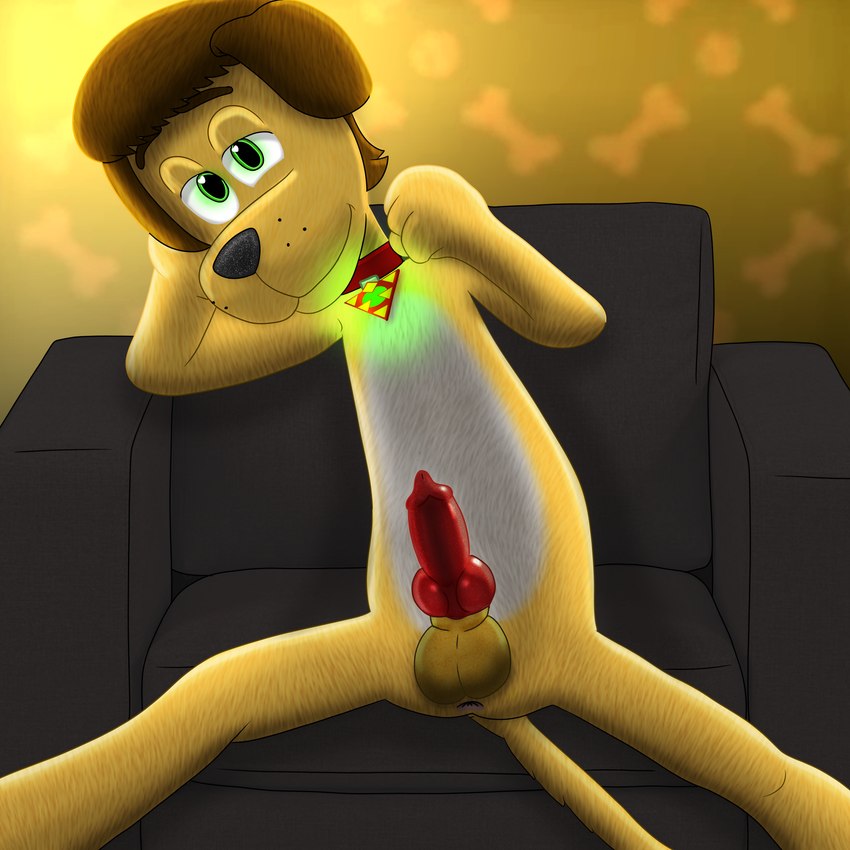 animal_genitalia animal_penis anthro anus balls bedroom_eyes brown_hair canine_genitalia canine_penis collar freckles fur furniture genitals glowing glowing_eyes hair knot knotted_penis looking_at_viewer male narrowed_eyes penis seductive sitting smile sofa solo spread_legs spreading wallpaper_(decoration) yellow_body yellow_fur deltaflame go_dog_go!_(series) colby_(deltaflame) fan_character bird_dog canid canine canis domestic_dog hunting_dog labrador mammal retriever 1:1 hi_res