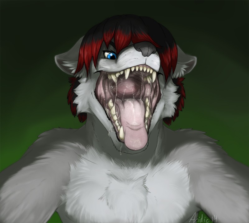 anthro black_hair blue_eyes bodily_fluids chest_tuft drooling fangs front_view fur gaping_mouth green_background grey_body grey_fur grey_nose hair inner_ear_fluff male mouth_shot open_mouth red_hair saliva short_hair simple_background solo teeth throat tongue tuft acidic ian_naxieas canid canine canis mammal wolf 2014 bust_portrait portrait