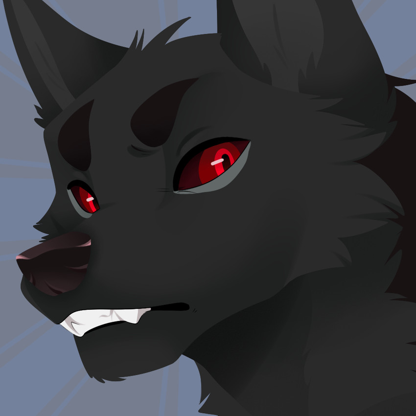 anthro black_body black_fur fur looking_at_viewer male red_eyes solo feve kura kurawulf canid canine canis mammal wolf 1:1 headshot_portrait icon lineless portrait