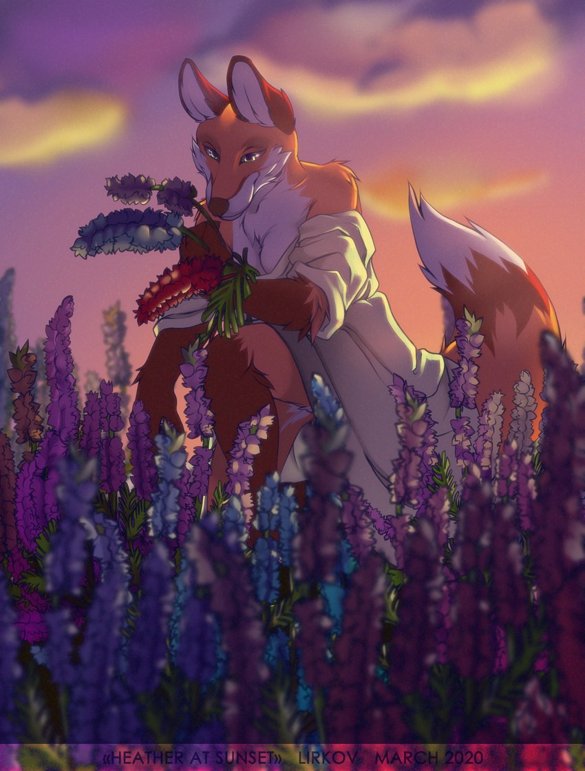 anthro clothed clothing detailed_background female fur orange_body orange_fur outside plant solo tail white_body white_fur lirkov canid canine fox mammal red_fox true_fox heather_(disambiguation) 2020 detailed digital_media_(artwork) hi_res