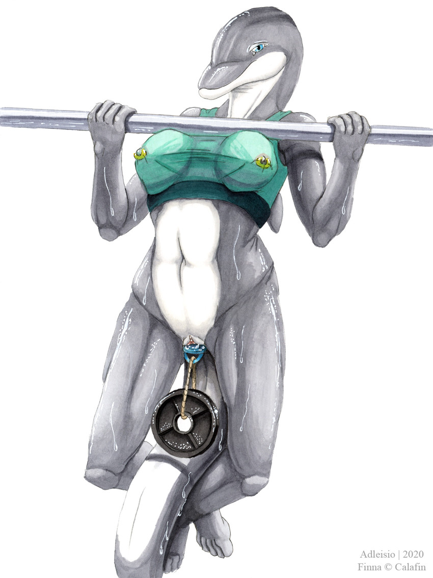 anthro athletic athletic_anthro athletic_female athletic_wear blue_eyes bodily_fluids bottomless bottomless_female bra clothed clothing countershade_face countershade_torso countershading exercise exercise_clothing exercise_equipment female glistening grey_body kegel_weight looking_at_viewer navel nipple_piercing nipple_ring nipples penetration piercing plug_(sex_toy) pull-up_(exercise) ring_piercing sex_toy sex_toy_in_pussy sex_toy_insertion sexercise simple_background solo sports_bra sweat text translucent translucent_clothing underwear vaginal vaginal_penetration vaginal_plug weightlifting weights white_background white_body workout adleisio bottlenose_dolphin cetacean dolphin mammal marine oceanic_dolphin toothed_whale 2020 english_text hi_res signature