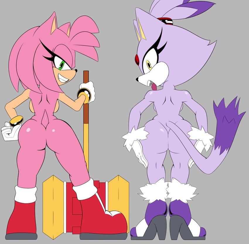 anthro big_butt butt duo female looking_at_viewer looking_back presenting simple_background tail thick_thighs deliciouscake thecakeee sega sonic_the_hedgehog_(series) amy_rose blaze_the_cat domestic_cat eulipotyphlan felid feline felis hedgehog mammal absurd_res hi_res