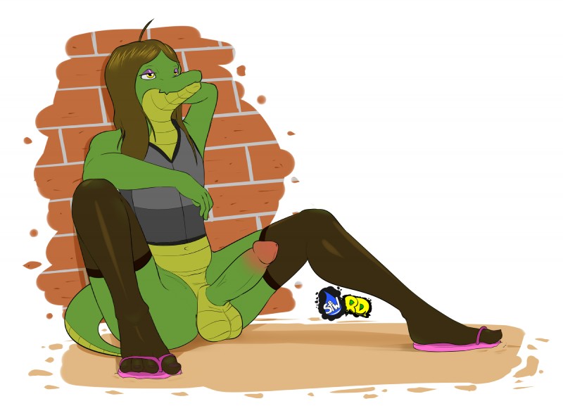 anthro balls biped brown_hair clothing feet femboy genitals green_body green_skin hair legwear male penis solo stockings underwear yellow_eyes dr_zombie russie alligator alligatorid crocodilian reptile scalie 2018 hi_res