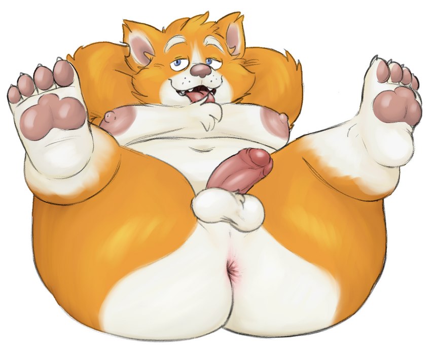 anthro anus balls belly big_butt big_nipples butt chubby_cheeks claws countershading fangs feet foreskin genitals hands_behind_head legs_up male moobs navel nipples overweight overweight_anthro overweight_male pawpads penis perineum presenting presenting_anus presenting_hindquarters slightly_chubby slightly_chubby_anthro slightly_chubby_male solo teeth thick_thighs toe_claws toes wide_hips sinood1e jackson_(nood1e) canid canine canis domestic_dog herding_dog mammal pastoral_dog welsh_corgi