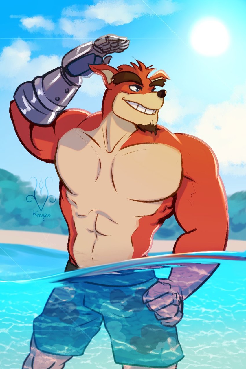 anthro beach biped blue_eyes blue_sky clothed clothing facial_hair fur goatee grin hand_on_hip male muscular muscular_anthro muscular_male partially_submerged prosthetic prosthetic_arm prosthetic_limb red_body red_fur seaside sky smile solo sun swimming_trunks swimwear topless water kraujas activision crash_bandicoot_(series) crunch_bandicoot bandicoot mammal marsupial 2:3 hi_res