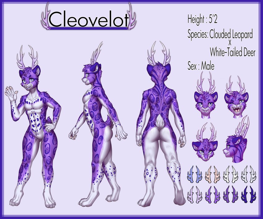 anthro antlers athletic digitigrade folded_ears fur gesture hair horn leopard_spots male markings multiple_angles palette purple_body purple_eyes purple_fur purple_hair purple_spots purple_stripes scut_tail short_hair short_tail smile solo spots spotted_body stripes tail teeth_showing text waving white_body white_fur wide_hips maxx-ros cleovelot clouded_leopard deer felid hybrid mammal new_world_deer pantherine white-tailed_deer absurd_res english_text headshot_portrait hi_res model_sheet portrait