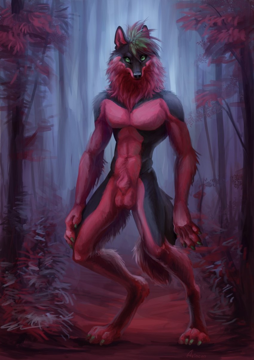 animal_genitalia anthro balls biped black_body black_fur detailed_background digitigrade forest fully_sheathed fur genitals green_eyes green_hair hair looking_at_viewer male nude outdoor_nudity outside plant red_body red_fur sheath solo standing tree akineza canid canine canis mammal wolf 2018 hi_res