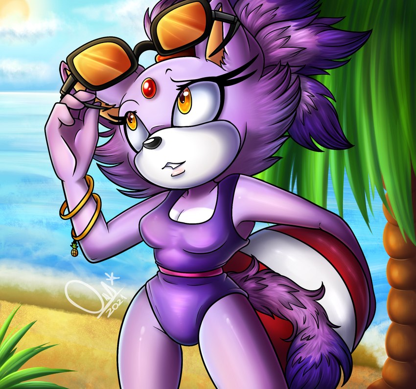 anthro ball beach beach_ball bracelet breasts cleavage clothed clothing eyewear female fur hair inflatable jewelry purple_body purple_fur seaside solo sunglasses swimwear yellow_eyes phantomchips sega sonic_the_hedgehog_(series) blaze_the_cat domestic_cat felid feline felis mammal hi_res