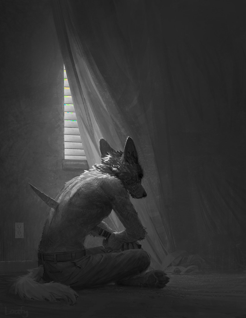 anthro belt blood bodily_fluids bottomwear clothing curtains dark denim denim_bottomwear denim_clothing jeans knife male melee_weapon pants self-harm solo stab stab_wound sword tail weapon window lofi canid canine canis domestic_dog mammal 2025 digital_media_(artwork) hi_res monochrome signature