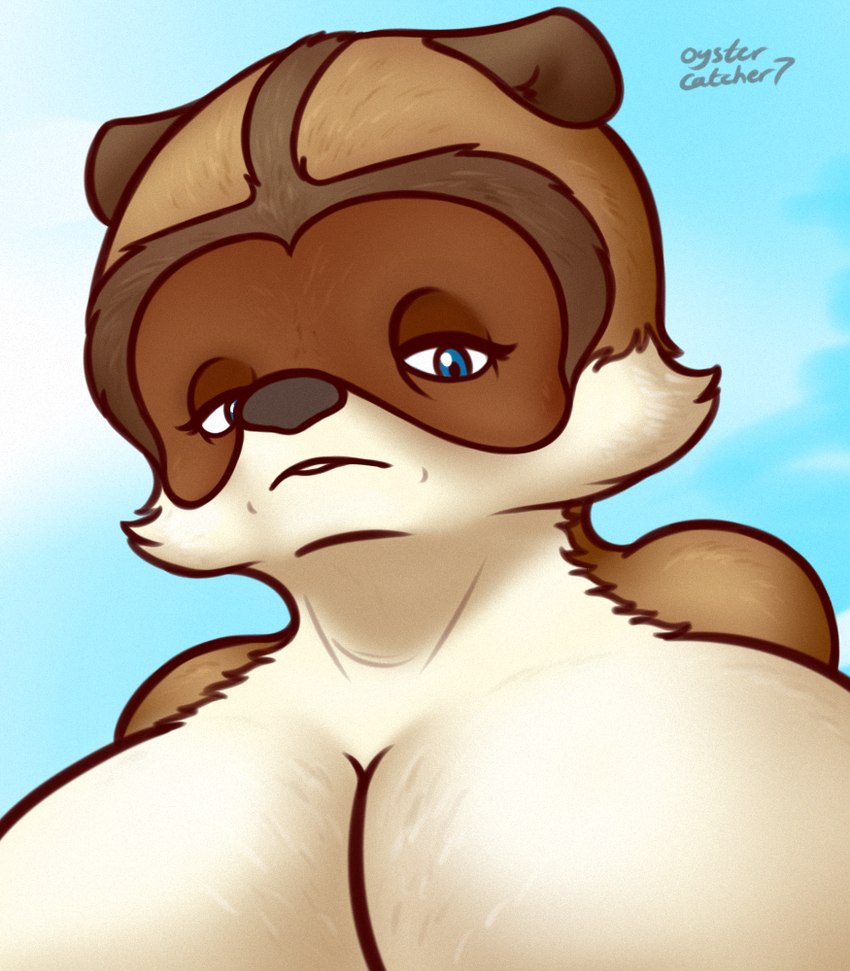 anthro anthrofied big_breasts blue_eyes breasts brown_body brown_fur close-up crossgender eye_bags female fur looking_at_viewer looking_down looking_down_at_viewer mature_female mtf_crossgender solo tan_body tan_fur oystercatcher7 dreamworks over_the_hedge rj_(over_the_hedge) mammal procyonid raccoon