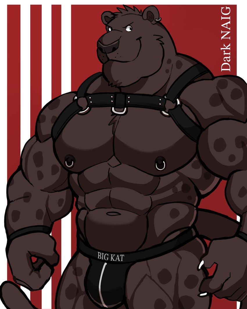 anthro biped bulge claws clothing fingers harness jockstrap male muscular muscular_anthro muscular_male nipple_piercing nipples pecs piercing smile solo tail underwear darknaigart felid mammal pantherine absurd_res hi_res