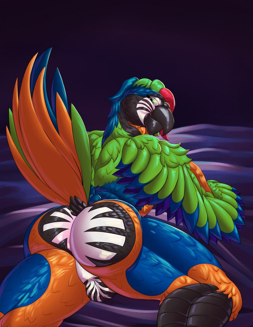 anthro balls beak blush brazilian bubble_butt butt first_person_view genitals green_eyes inside looking_at_viewer male raised_tail solo tail text winged_arms wings angryrawcoon azul_da_silva avian bird catalina_macaw macaw neotropical_parrot parrot true_parrot absurd_res colored digital_media_(artwork) hi_res portrait shaded three-quarter_portrait