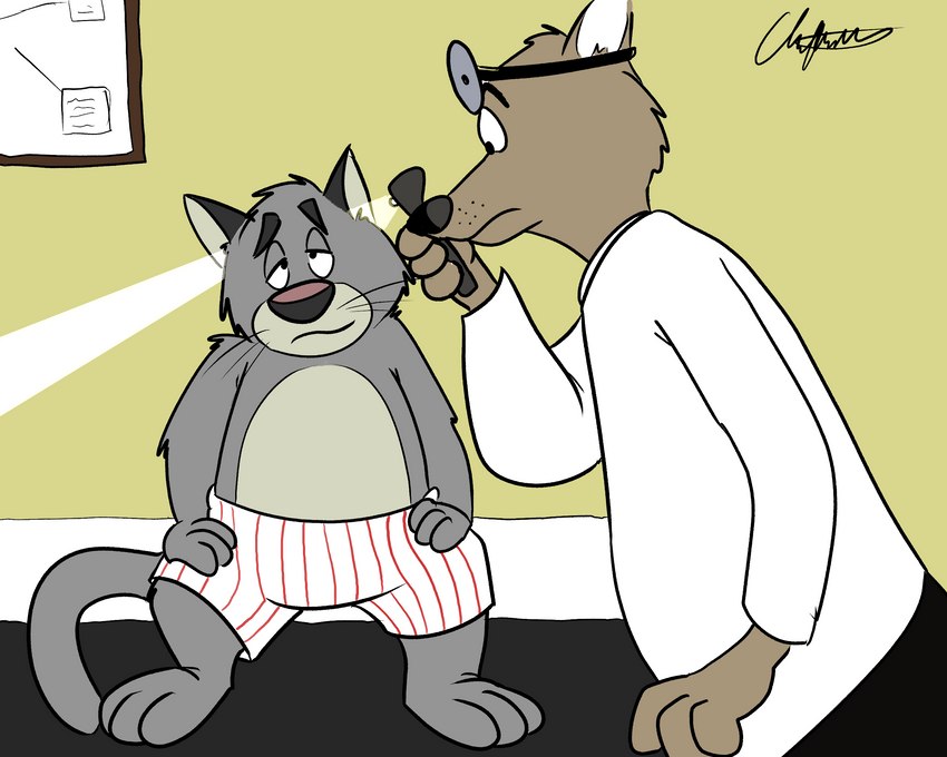 anthro boxers_(clothing) clothing doctor doctor's_office duo grey_body male medical_examination medical_instrument patient scientific_instrument sitting underwear whiskers sobieniak brok_the_investigator cowcat_games graff_filsh domestic_cat felid feline felis mammal 2021 5:4 hi_res signature